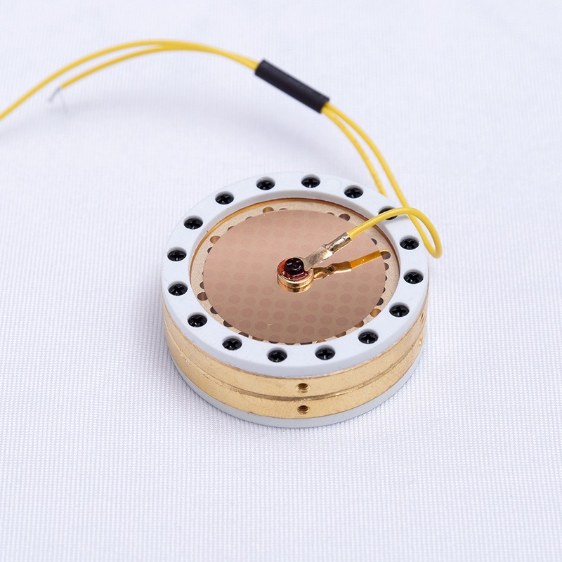 Microphone Capsule - RK-87 Büyük Diyaframlı Mikrofon Kapsülü Altın