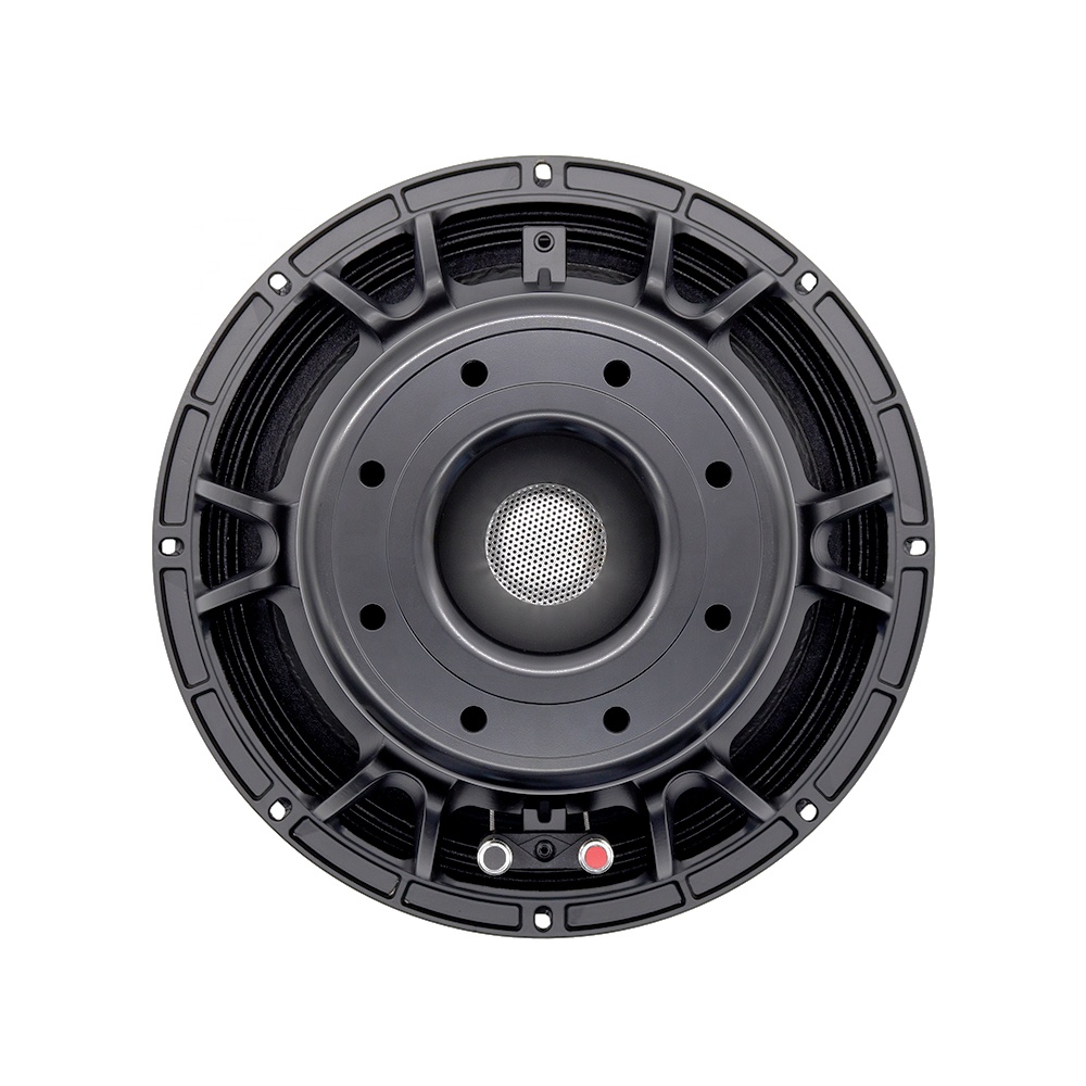 Subwoofer - 12DS Pro Ses Ekipmanları 12'' Hoparlör