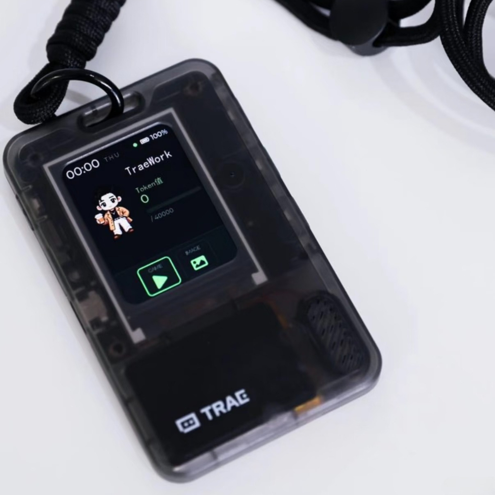 Diy Speaker - FoloToy AI PASSPORT Elektronik Pasaport DIY