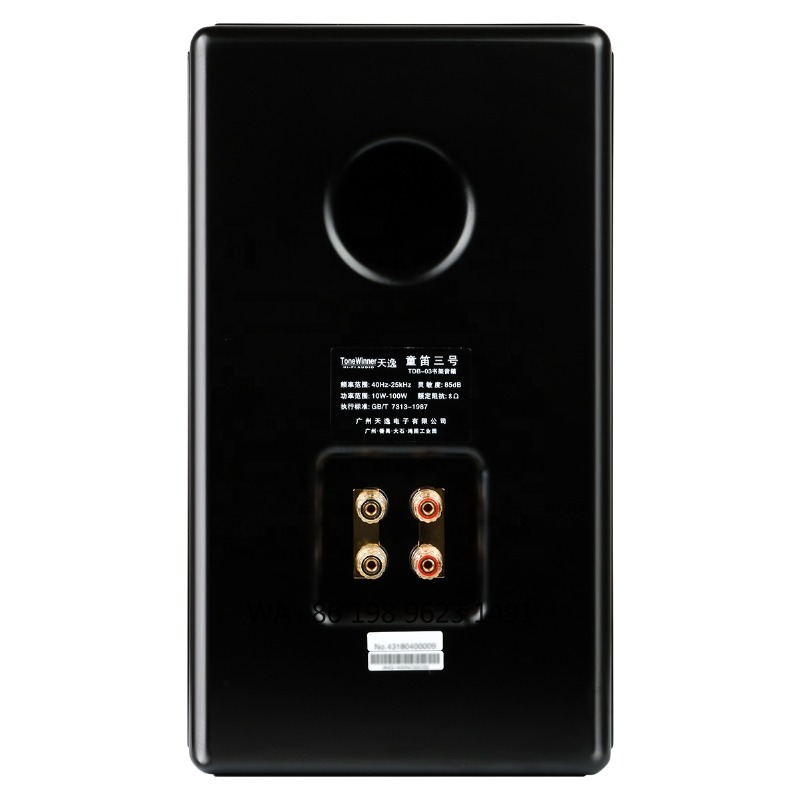 Hi-Fi Kitaplık Tipi Hoparlör 1 - Speaker Driver incelemesi ve fiyatı