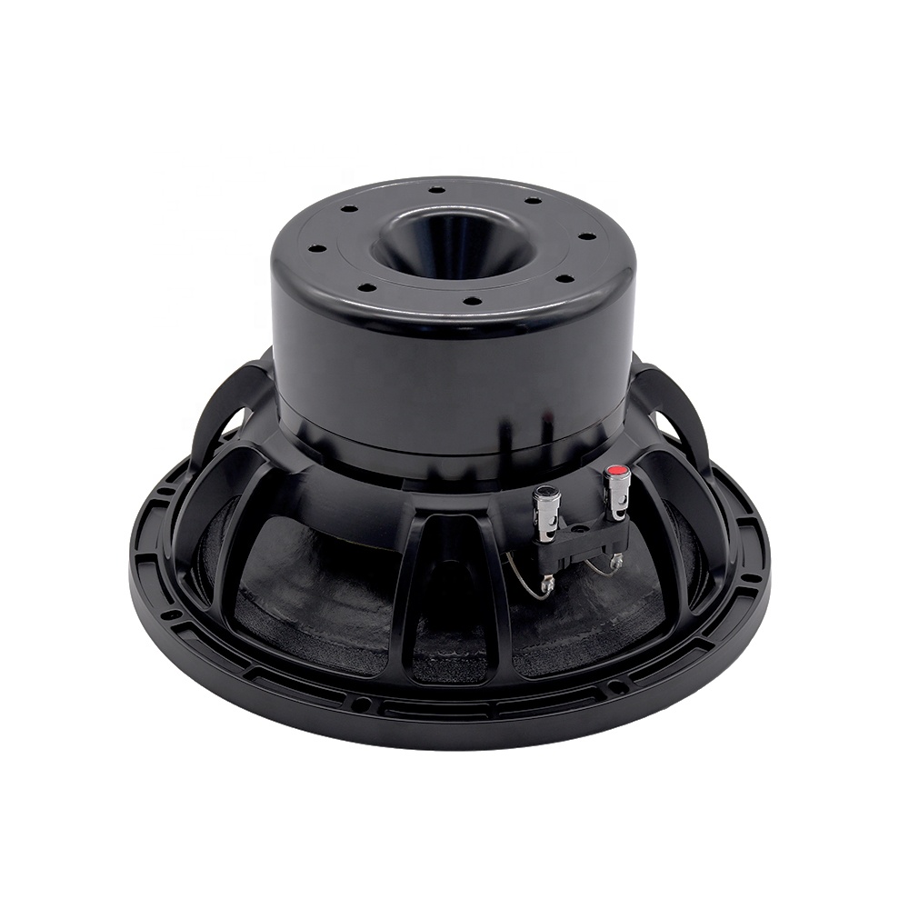 12DS Pro Ses Ekipmanları 12''  - Subwoofer incelemesi ve fiyatı