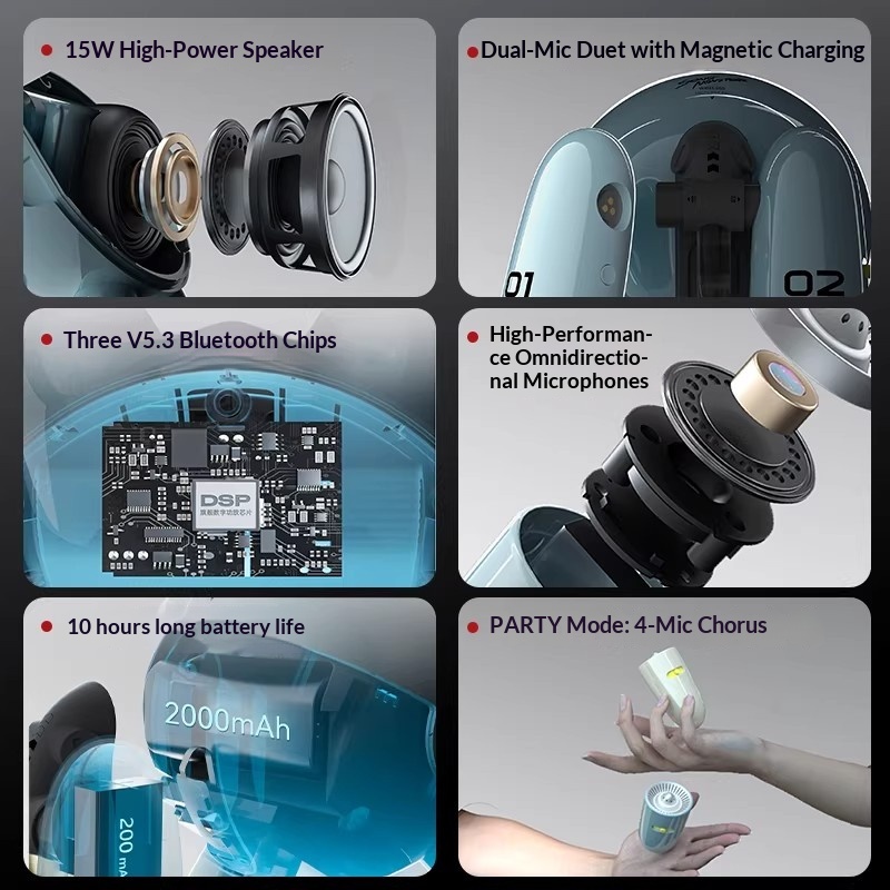 SONGX Ses Çift Mikrofonlu Düet - Full Range Speaker incelemesi ve fiyatı