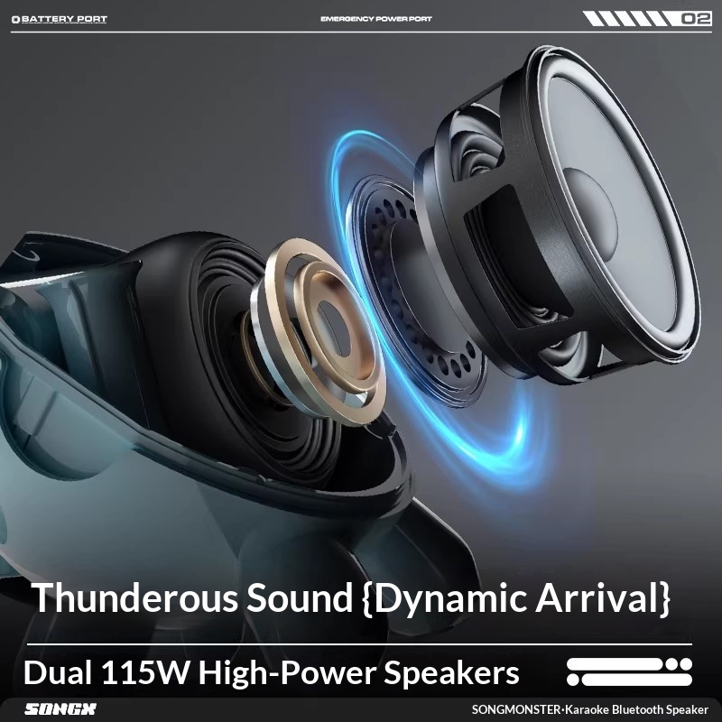 SONGX Ses Çift Mikrofonlu Düet - Full Range Speaker incelemesi ve fiyatı