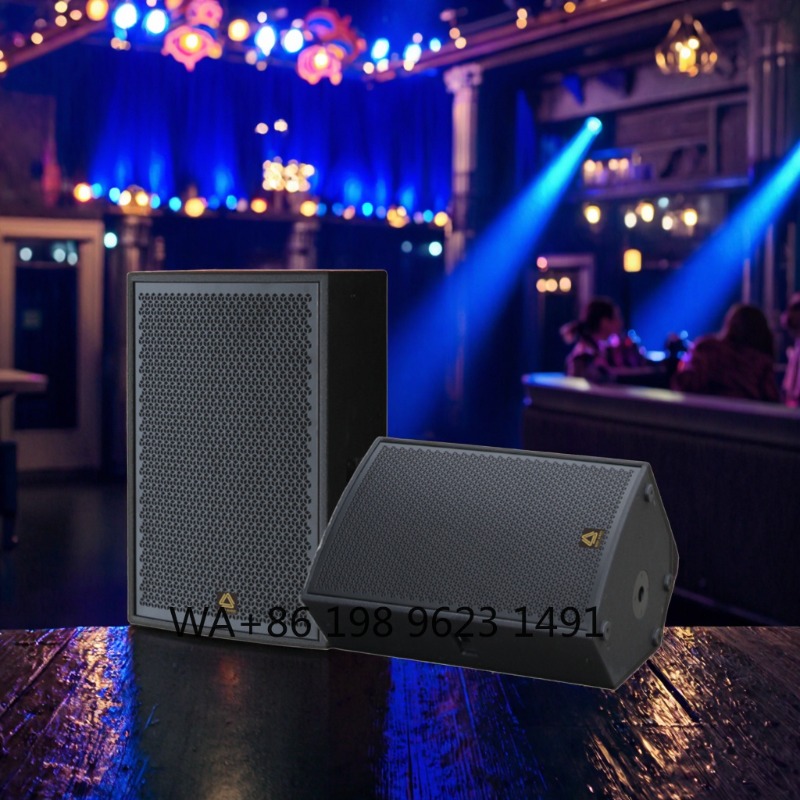 Yüksek Güçlü Tam Aralıklı Prof - Full Range Speaker incelemesi ve fiyatı